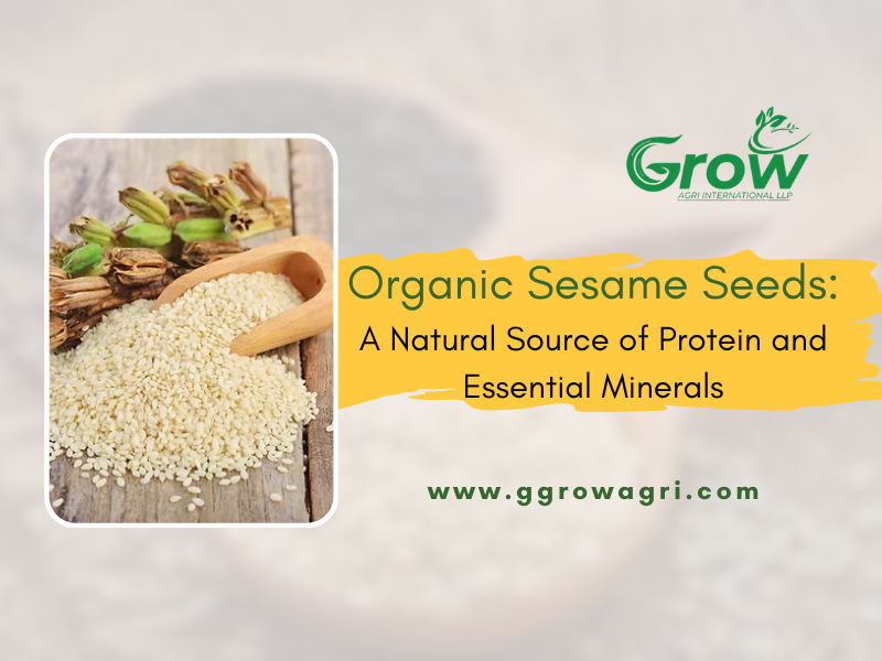 organic-sesame-seeds-a-natural-source-of-protein-and-enssential-minerals-banner.png